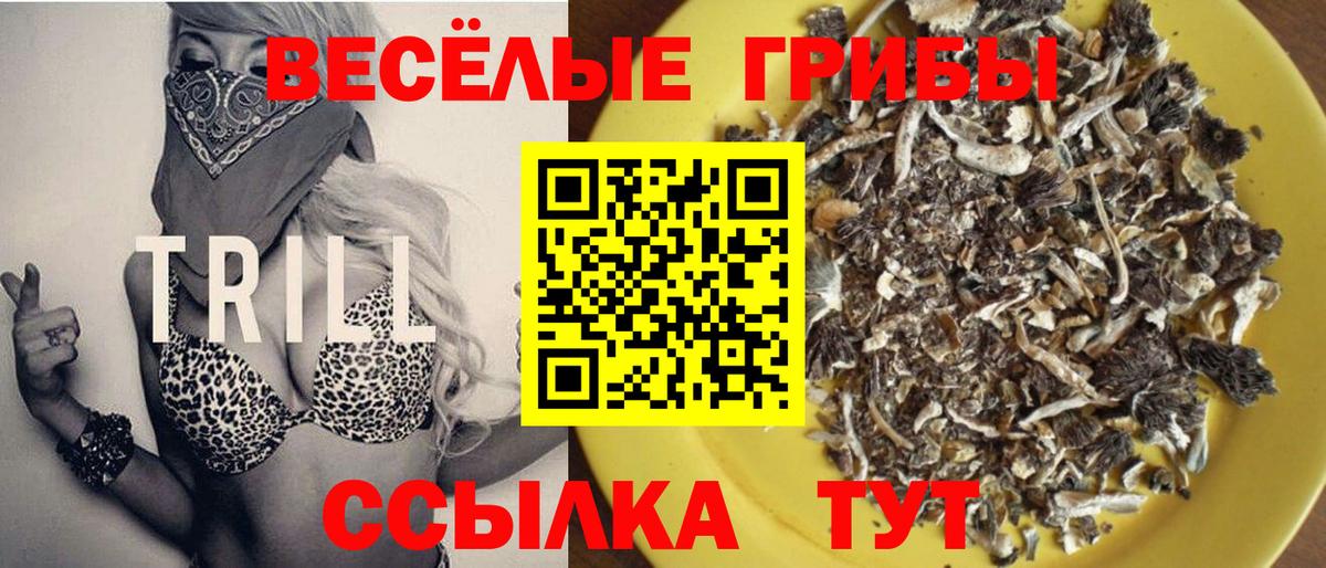 Уссурийск  Галлюциногенные грибы Psilocybe  Вход с VPN 